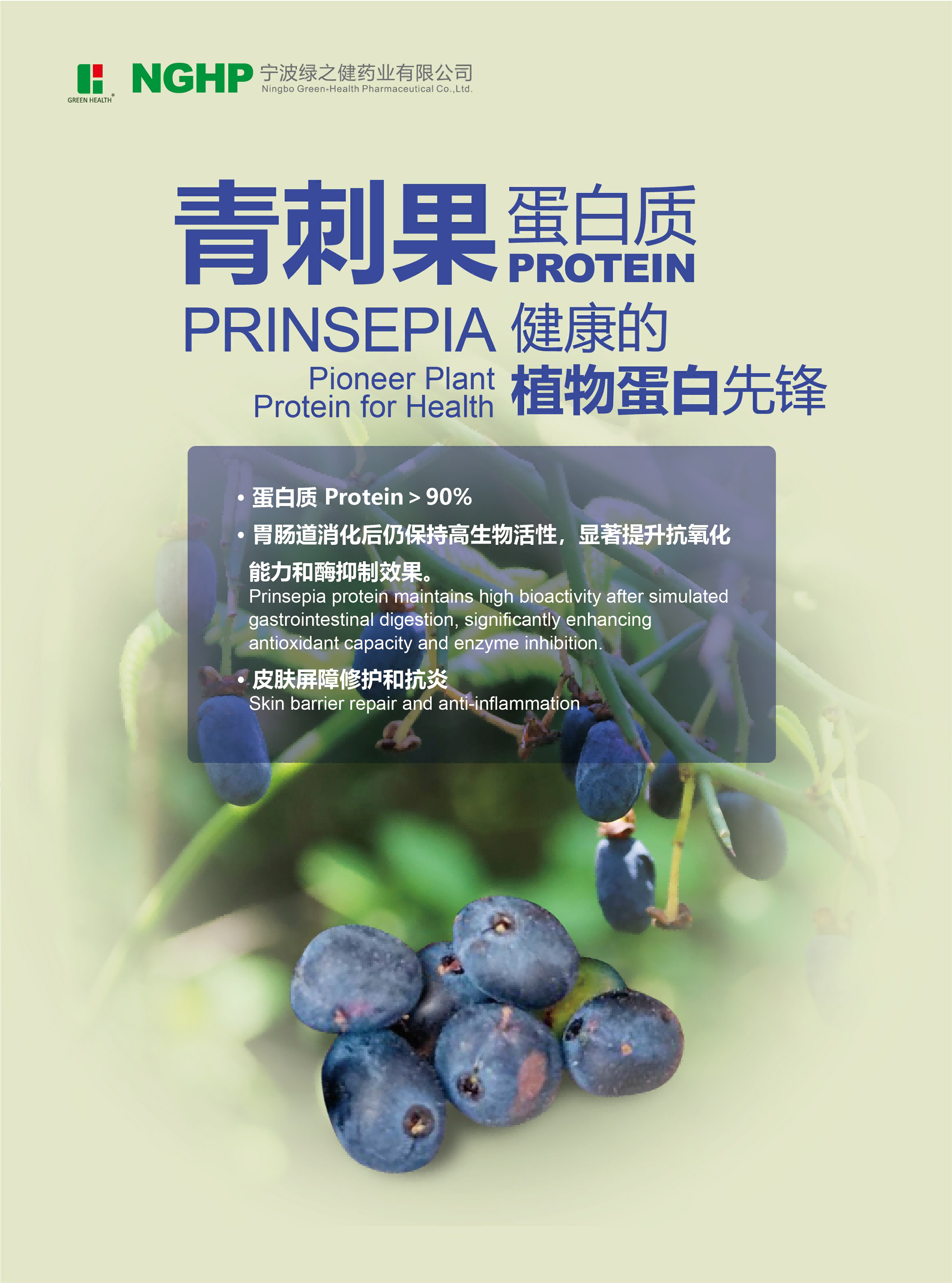 青刺果蛋白